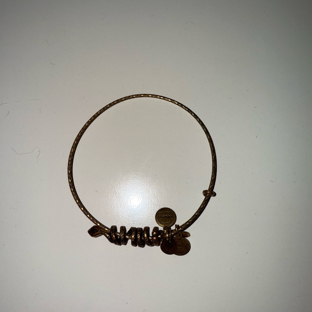 Alex and Ani snake bangle bracelet
